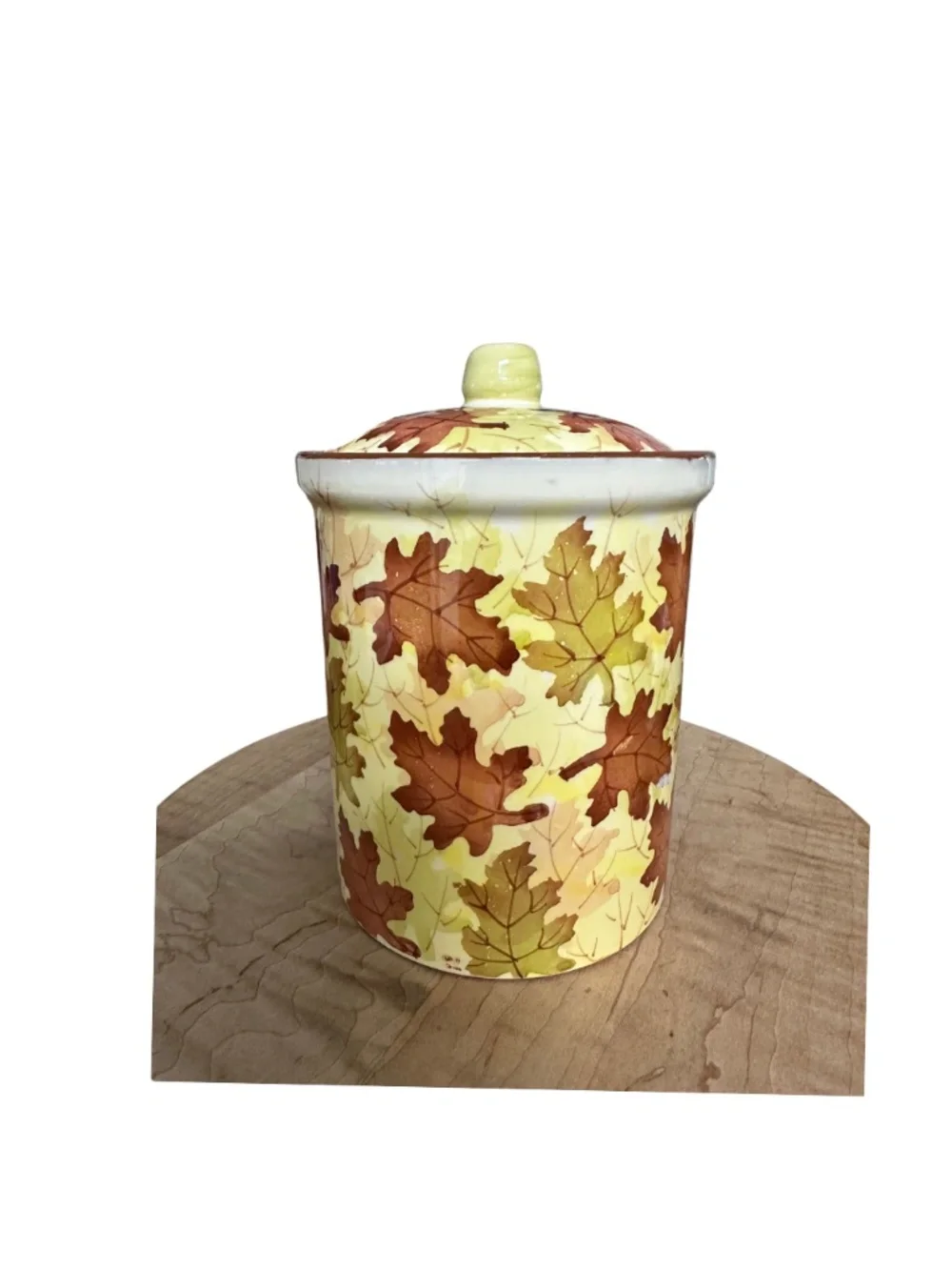 Pier 1 Imports Autumn Leaf Stoneware Canister with Lid